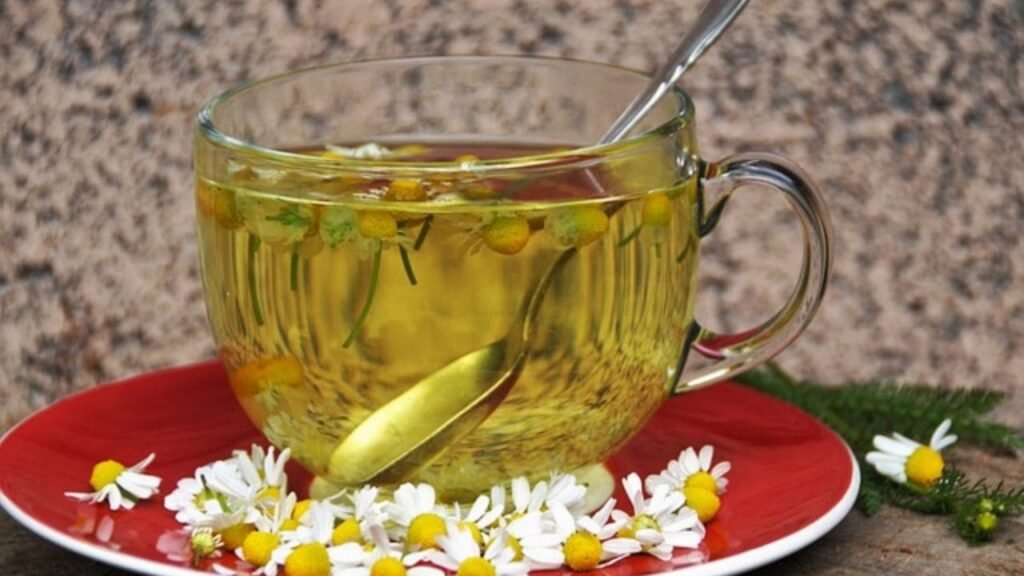 Infusiones para controlar el azúcar naturalmente