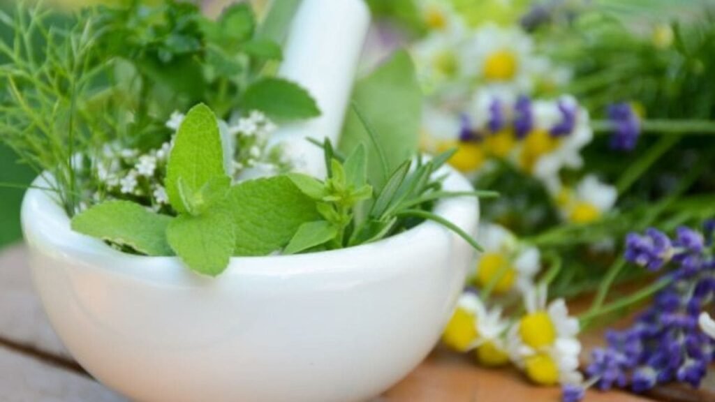 Plantas medicinales para bajar el azúcar